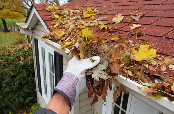 Rain Gutter Cleaning Service in Carlisle