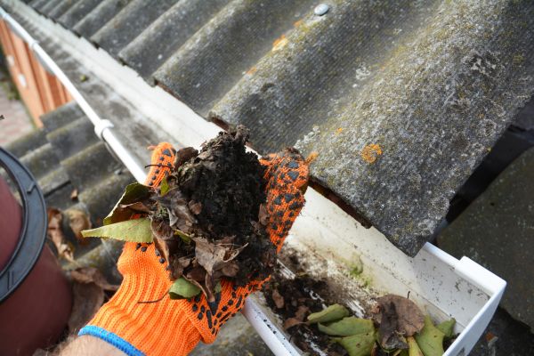Seamless Gutter Cleaning in Carlisle