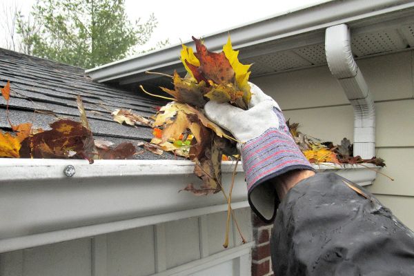 Leaf Gutter Cleaning in Carlisle