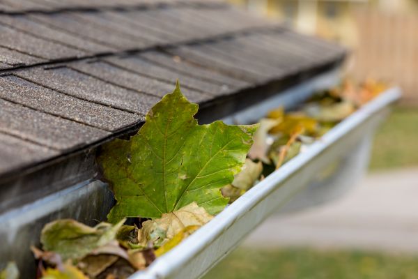 Commercial Downspout Cleaning in Carlisle