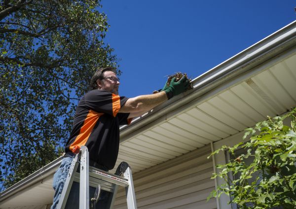 Eavestrough Clearing in Carlisle