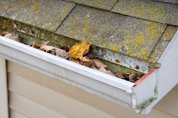 Garage Gutter Cleaning in Carlisle
