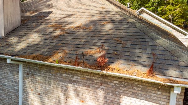 Gutter Pine Needle Removal in Carlisle
